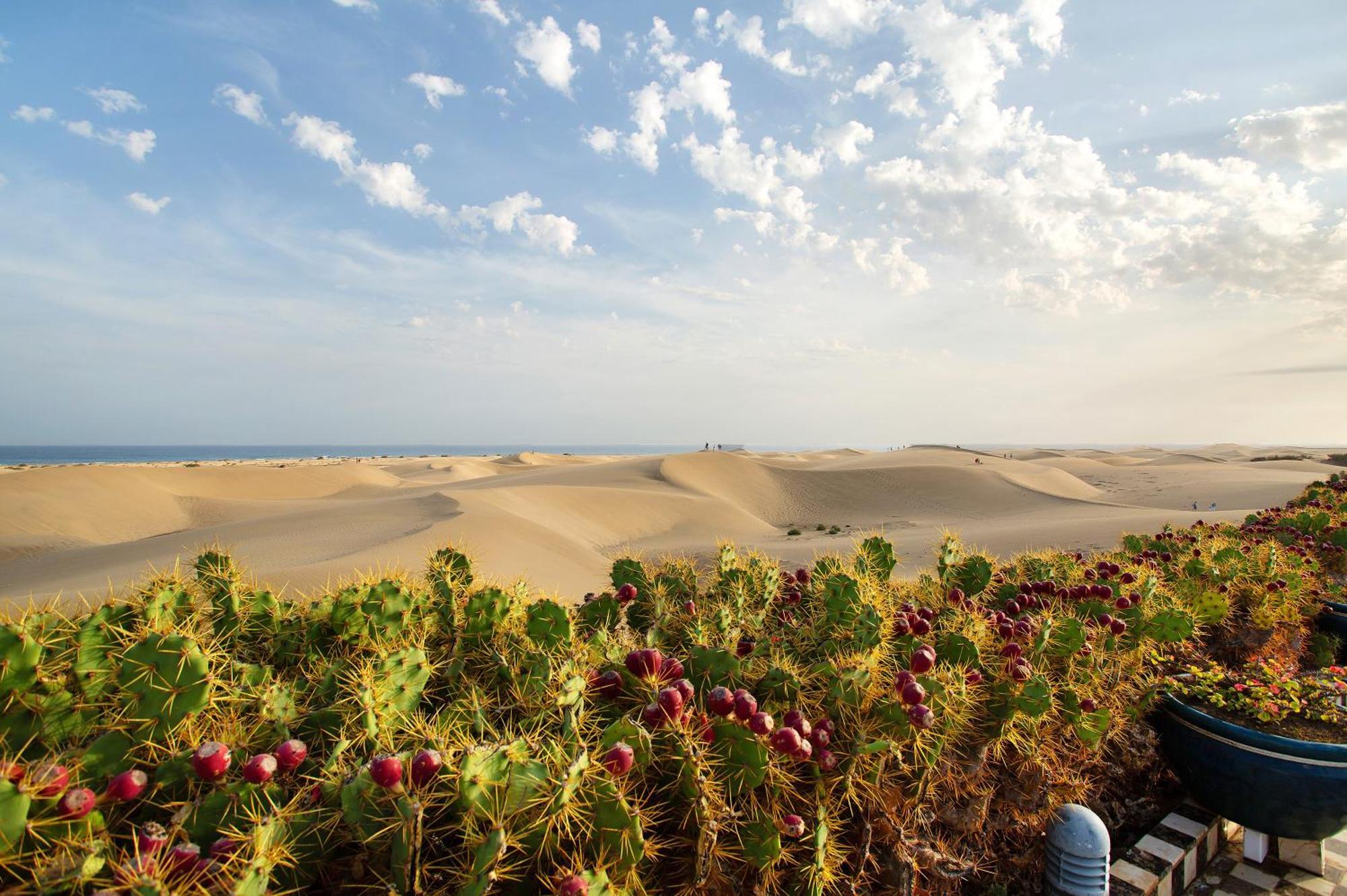 Villa Dunas Maspalomas Maspalomas  Luaran gambar